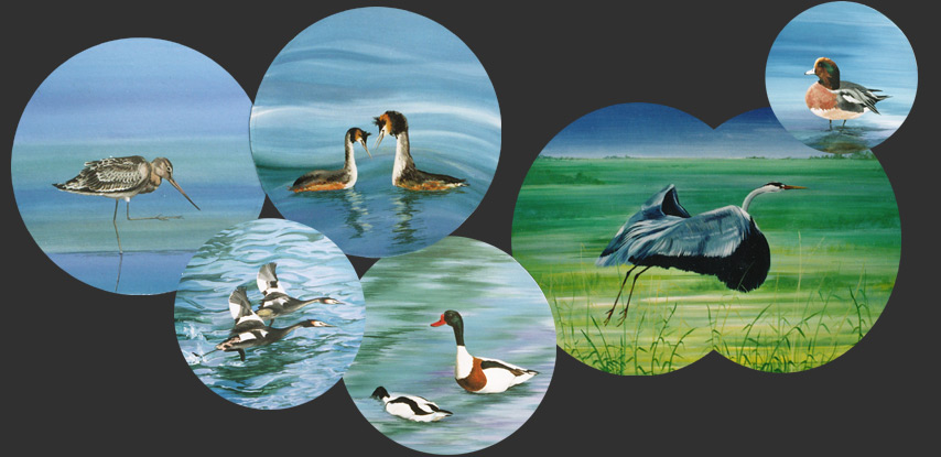 peinture canards